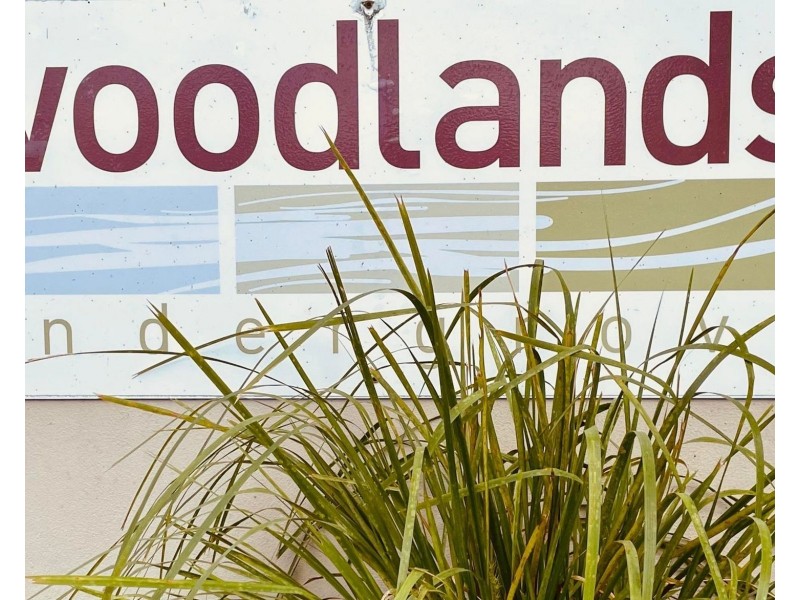 7 Dollarbird Lane, Andergrove QLD 4740