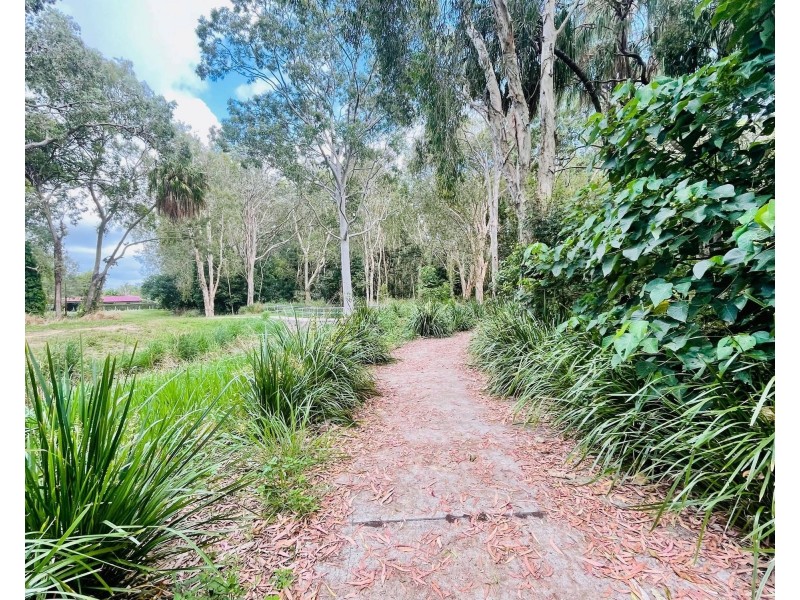7 Dollarbird Lane, Andergrove QLD 4740