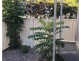 1/8 East Gordon Street, Mackay QLD 4740