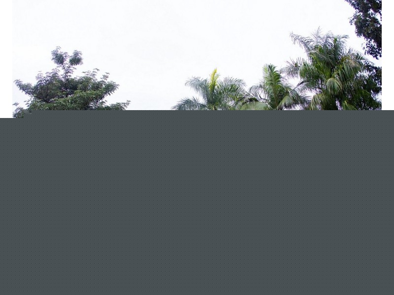 22 Galea Court, Habana QLD 4740