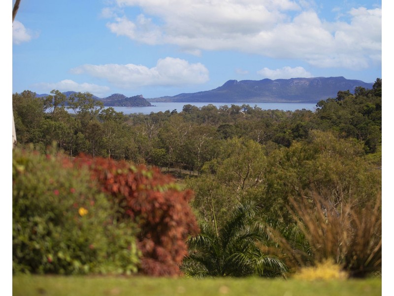 53 Olletts Road, Habana QLD 4740