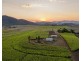 98 Volkers Road, Kuttabul QLD 4741
