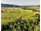 98 Volkers Road, Kuttabul QLD 4741