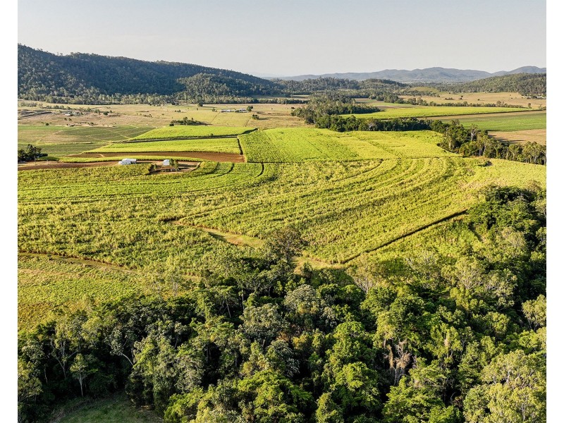 98 Volkers Road, Kuttabul QLD 4741