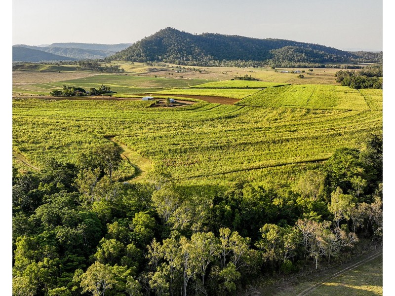 98 Volkers Road, Kuttabul QLD 4741