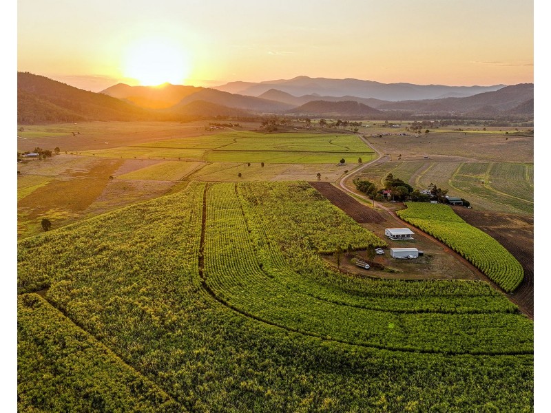 98 Volkers Road, Kuttabul QLD 4741