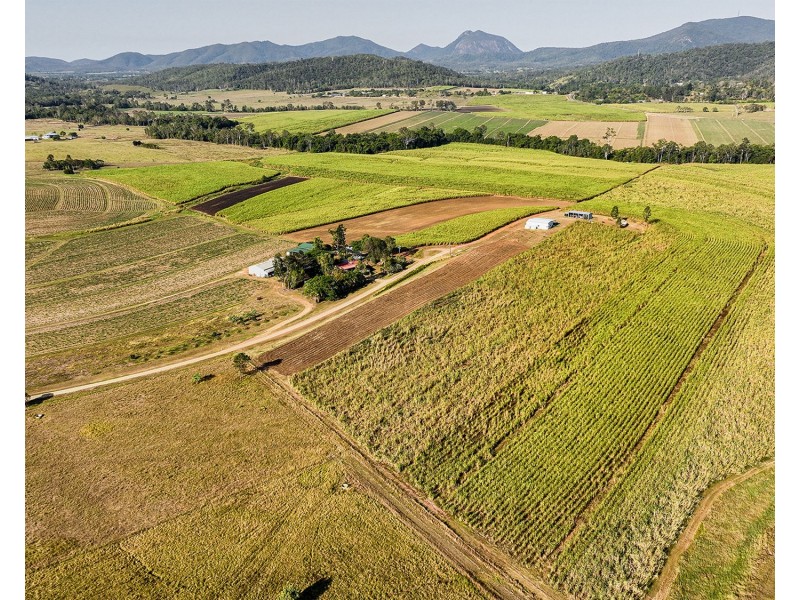 98 Volkers Road, Kuttabul QLD 4741