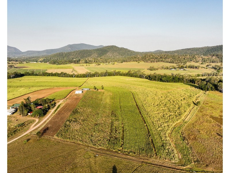 98 Volkers Road, Kuttabul QLD 4741