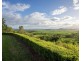 443 Mount Martin Road, Mount Martin QLD 4754