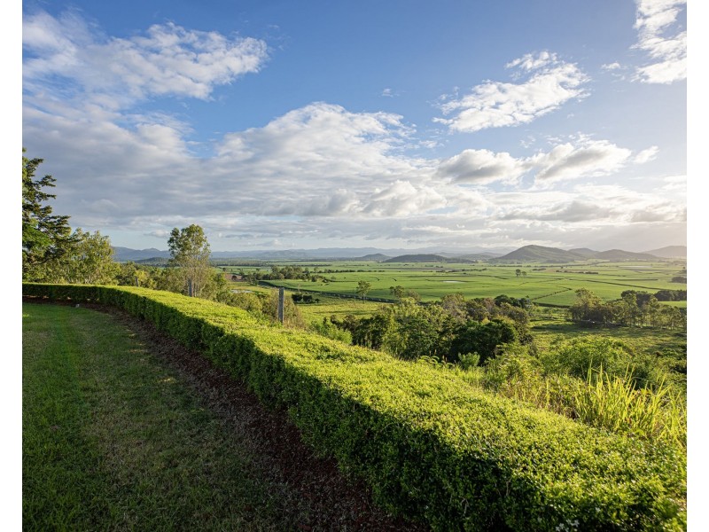 443 Mount Martin Road, Mount Martin QLD 4754