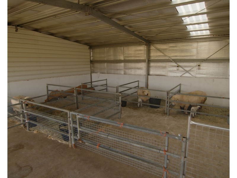 47 Kirwans Road, Dumbleton QLD 4740