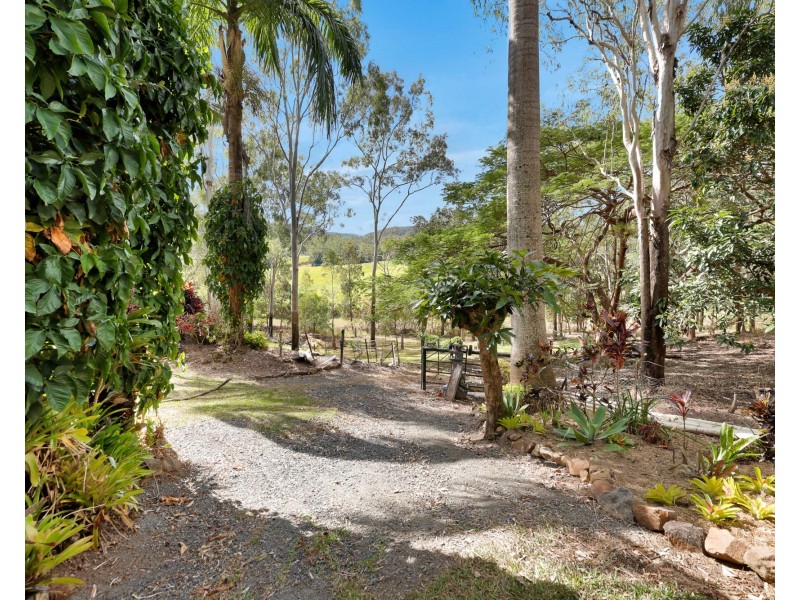 53 Thomas Road, Devereux Creek QLD 4753