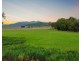 16 Sorbellos Road, Eton QLD 4741