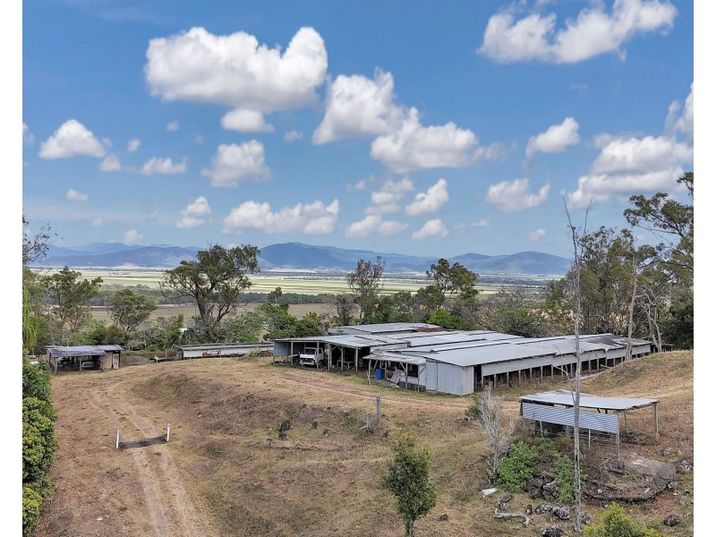 91901 Bruce Highway, Alligator Creek QLD 4740