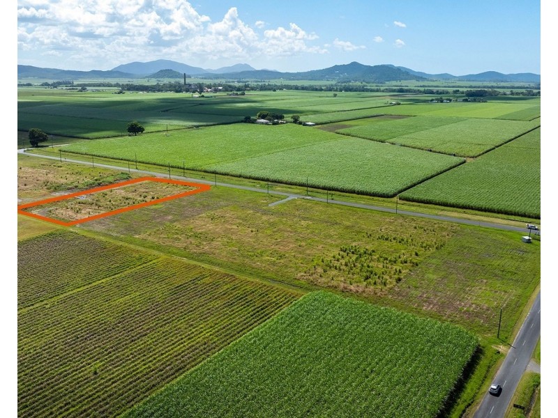 115 McColl Street, Walkerston QLD 4751