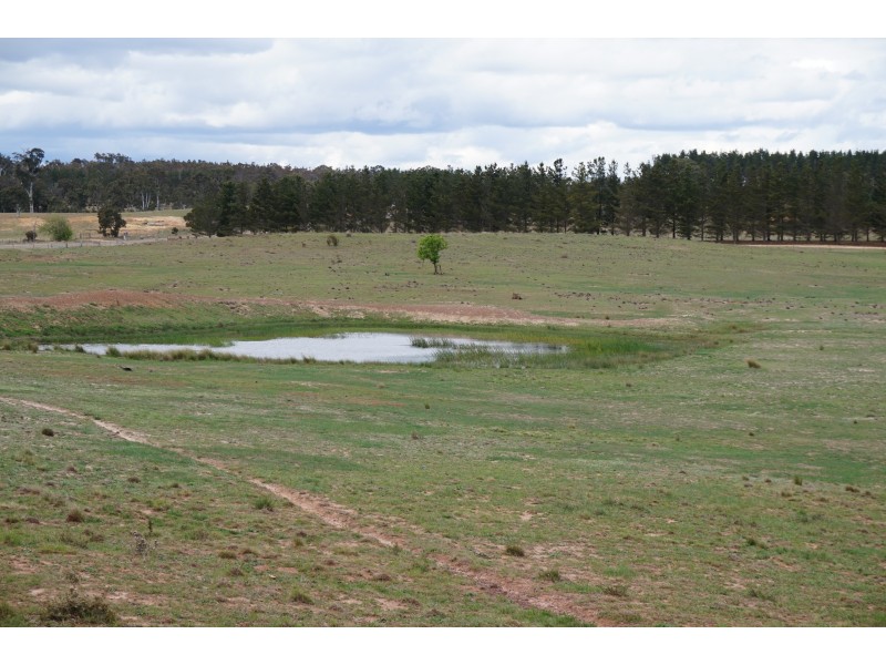 3323 Oallen Ford Road, Windellama via, Goulburn NSW 2580