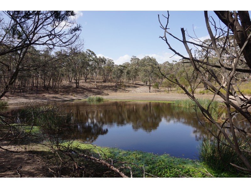 361 Readers Road, Quialigo NSW 2580