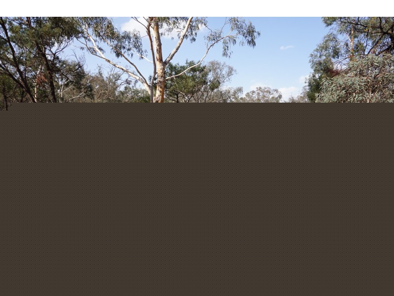 361 Readers Road, Quialigo NSW 2580