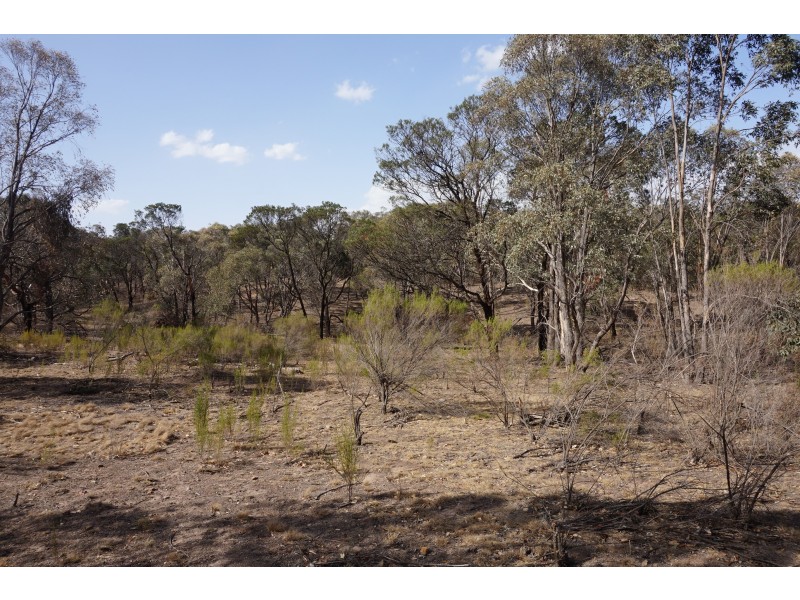 361 Readers Road, Quialigo NSW 2580