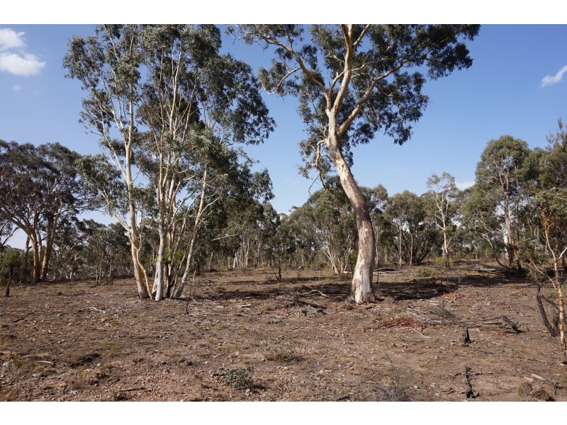 361 Readers Road, Quialigo NSW 2580