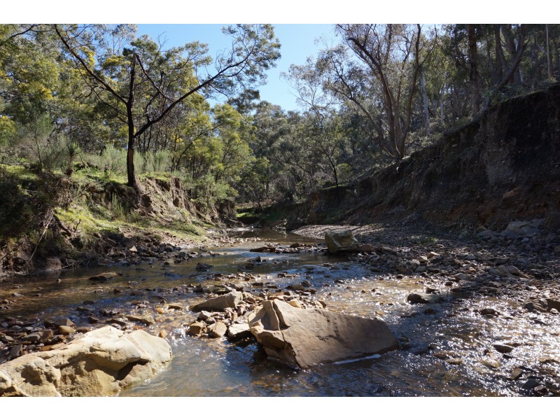 167 Barcham Lane, Bungonia via, Goulburn NSW 2580