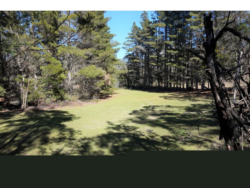 167 Barcham Lane, Bungonia via, Goulburn NSW 2580