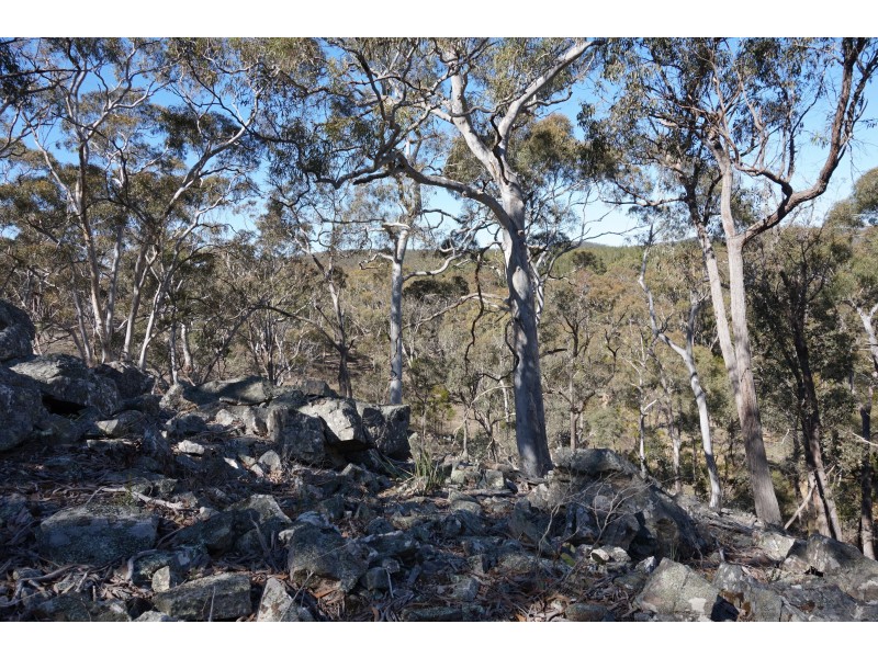 167 Barcham Lane, Bungonia via, Goulburn NSW 2580