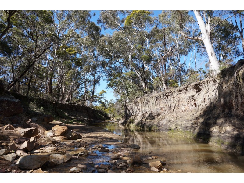 167 Barcham Lane, Bungonia via, Goulburn NSW 2580