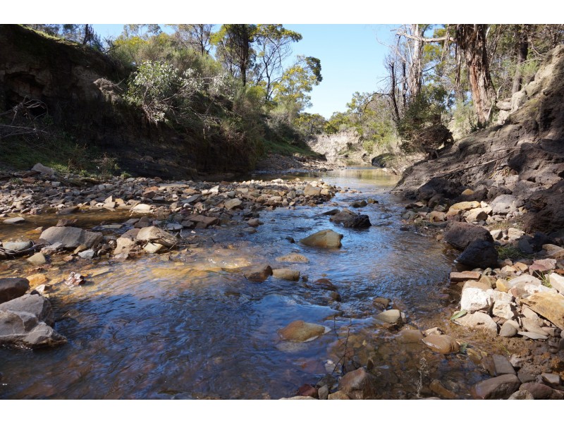 167 Barcham Lane, Bungonia via, Goulburn NSW 2580