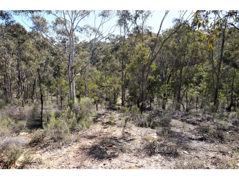167 Barcham Lane, Bungonia via, Goulburn NSW 2580