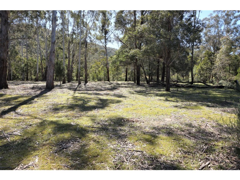 167 Barcham Lane, Bungonia via, Goulburn NSW 2580