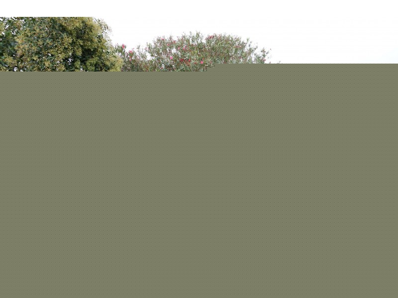 61 Kinghorne Street, Goulburn NSW 2580