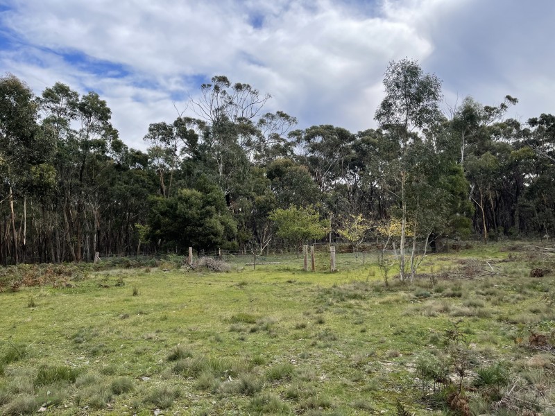 1264 Wombeyan Caves Road, Wiarborough via, Taralga NSW 2580