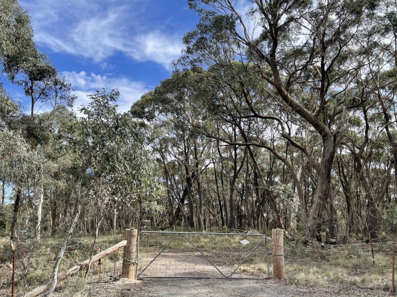 1264 Wombeyan Caves Road, Wiarborough via, Taralga NSW 2580