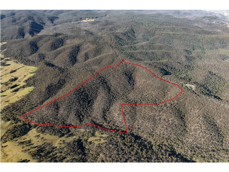 1264 Wombeyan Caves Road, Wiarborough via, Taralga NSW 2580