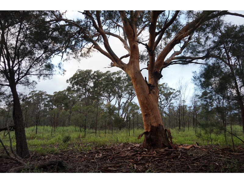 33 Watling Close, Tallong NSW 2579