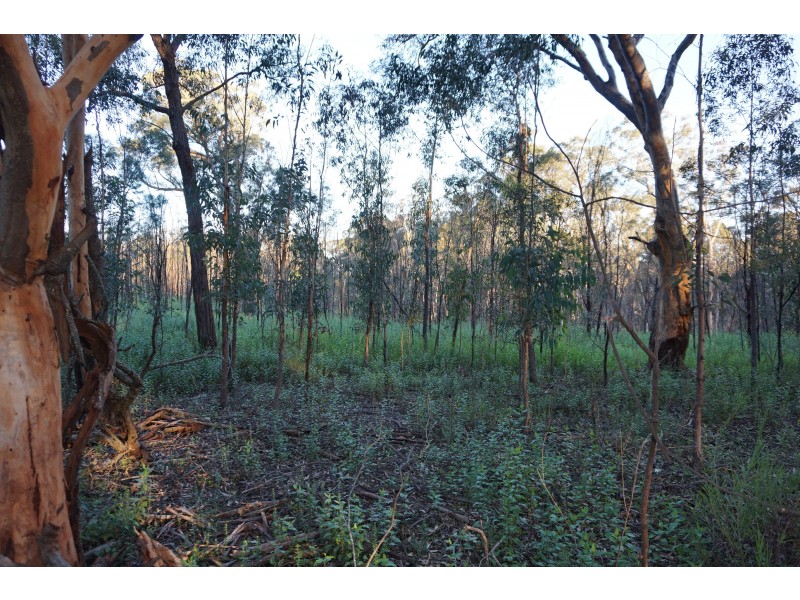 33 Watling Close, Tallong NSW 2579