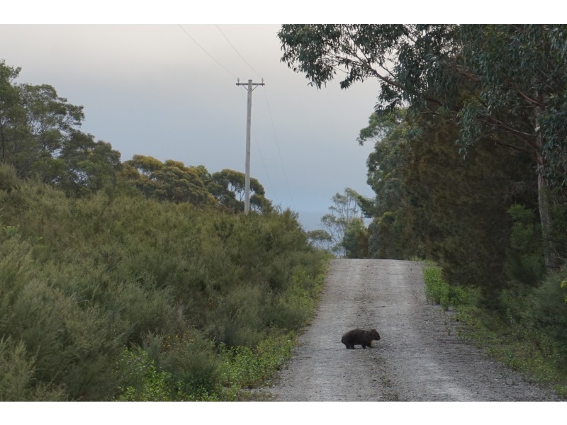 33 Watling Close, Tallong NSW 2579