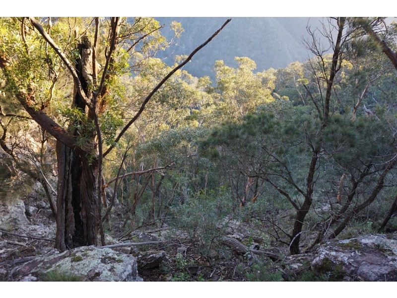 33 Watling Close, Tallong NSW 2579