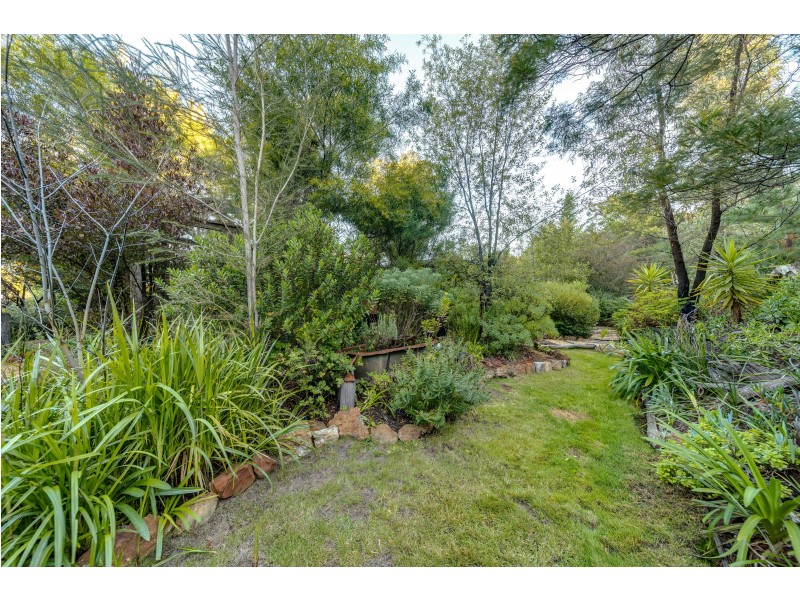 377 Forest Siding Road, Middle Arm VIA, Goulburn NSW 2580