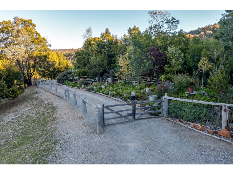 377 Forest Siding Road, Middle Arm VIA, Goulburn NSW 2580