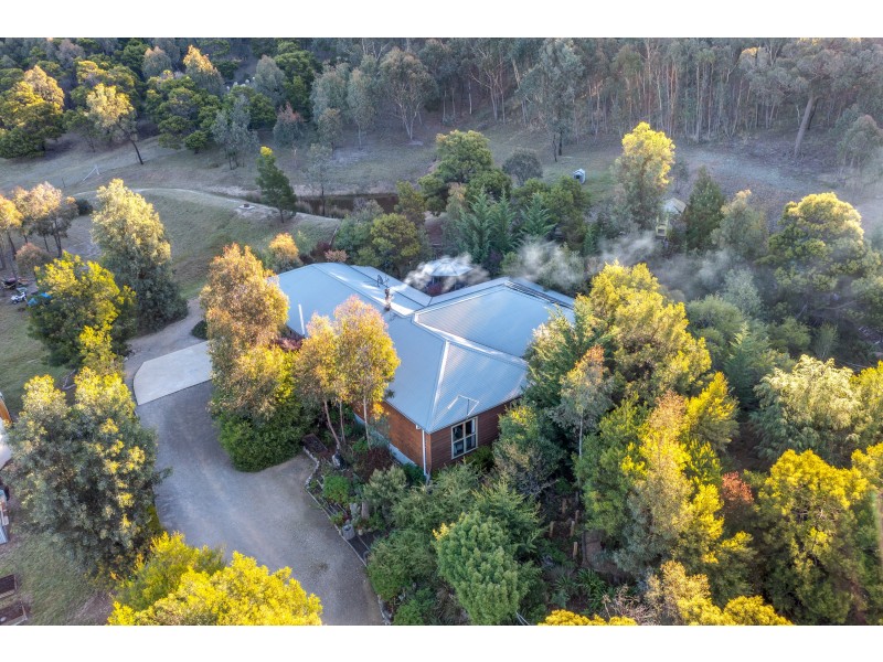 377 Forest Siding Road, Middle Arm VIA, Goulburn NSW 2580