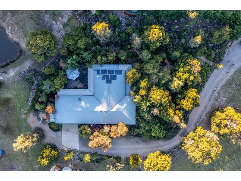 377 Forest Siding Road, Middle Arm VIA, Goulburn NSW 2580