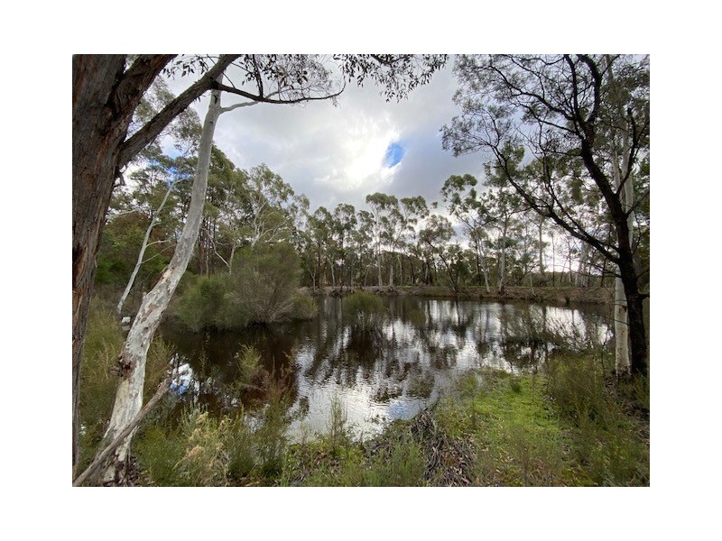 357 Mogo Road Oallen via, Goulburn NSW 2580