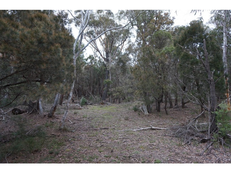 357 Mogo Road Oallen via, Goulburn NSW 2580