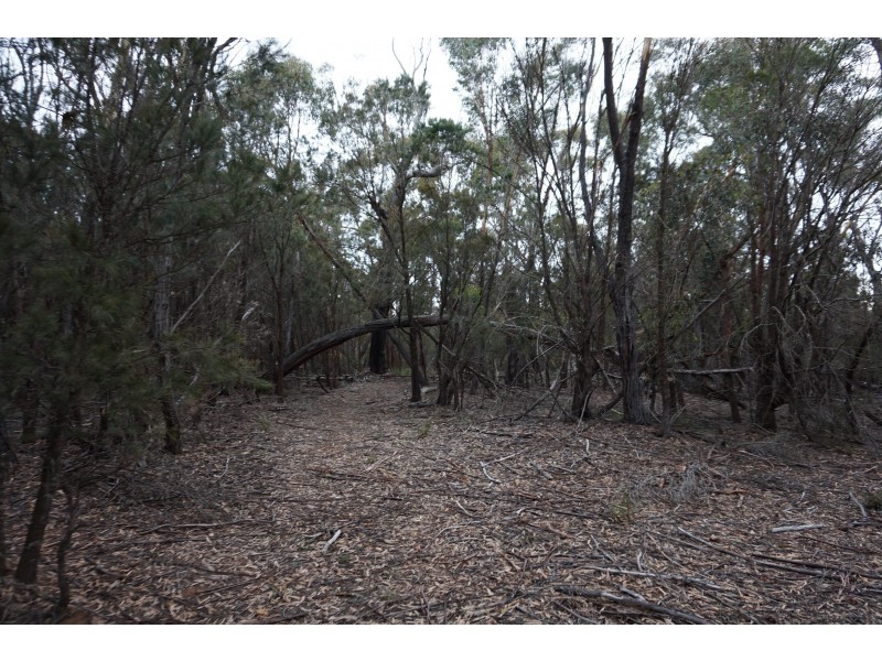 357 Mogo Road Oallen via, Goulburn NSW 2580