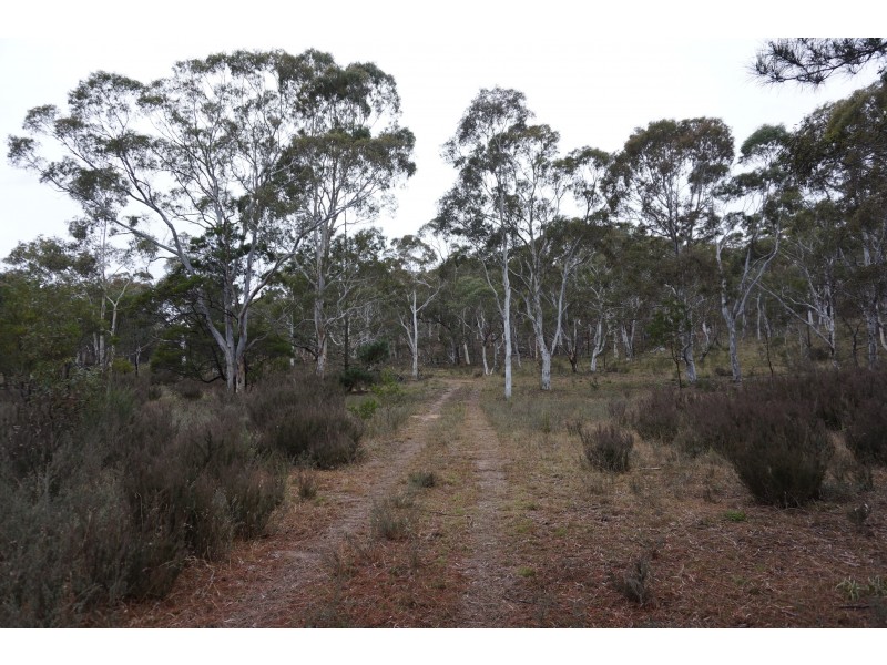 357 Mogo Road Oallen via, Goulburn NSW 2580