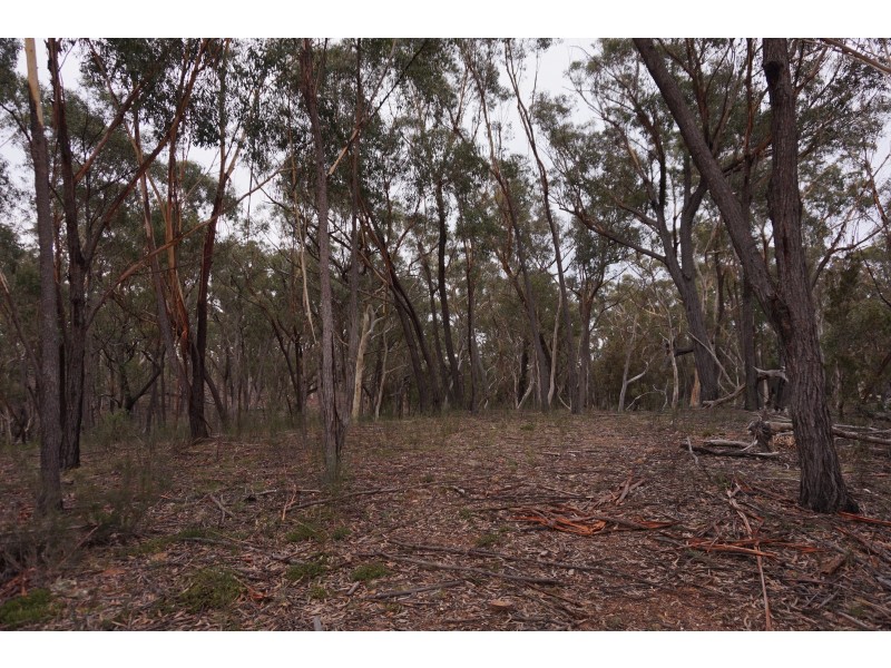 357 Mogo Road Oallen via, Goulburn NSW 2580