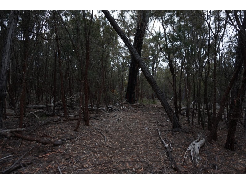 357 Mogo Road Oallen via, Goulburn NSW 2580