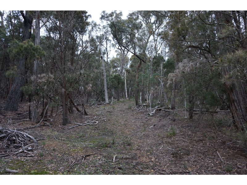 357 Mogo Road Oallen via, Goulburn NSW 2580